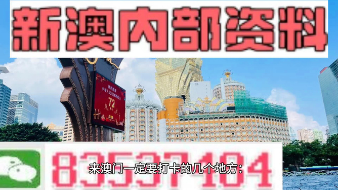 2025年新澳门精准免费大全/精选解析与未来展望