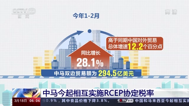 2025澳门和香港今晚开特马开什么，精选解释解析与落实策略