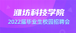 济南人才市场招聘网，连接人才与机遇的桥梁