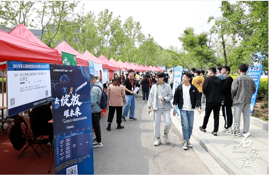 黄岛人才市场招聘会，搭建就业桥梁，促进人才流动