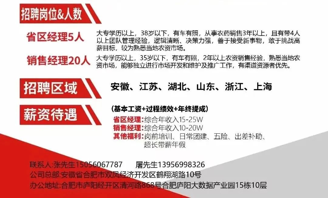 淮阴人才网最新招聘，挖掘人才潜力，共创未来辉煌