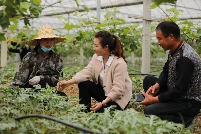 淮北濉溪百货批发市场的繁荣与变迁