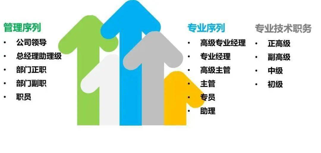 杭州自考网，开启个人成长与职业发展的新篇章
